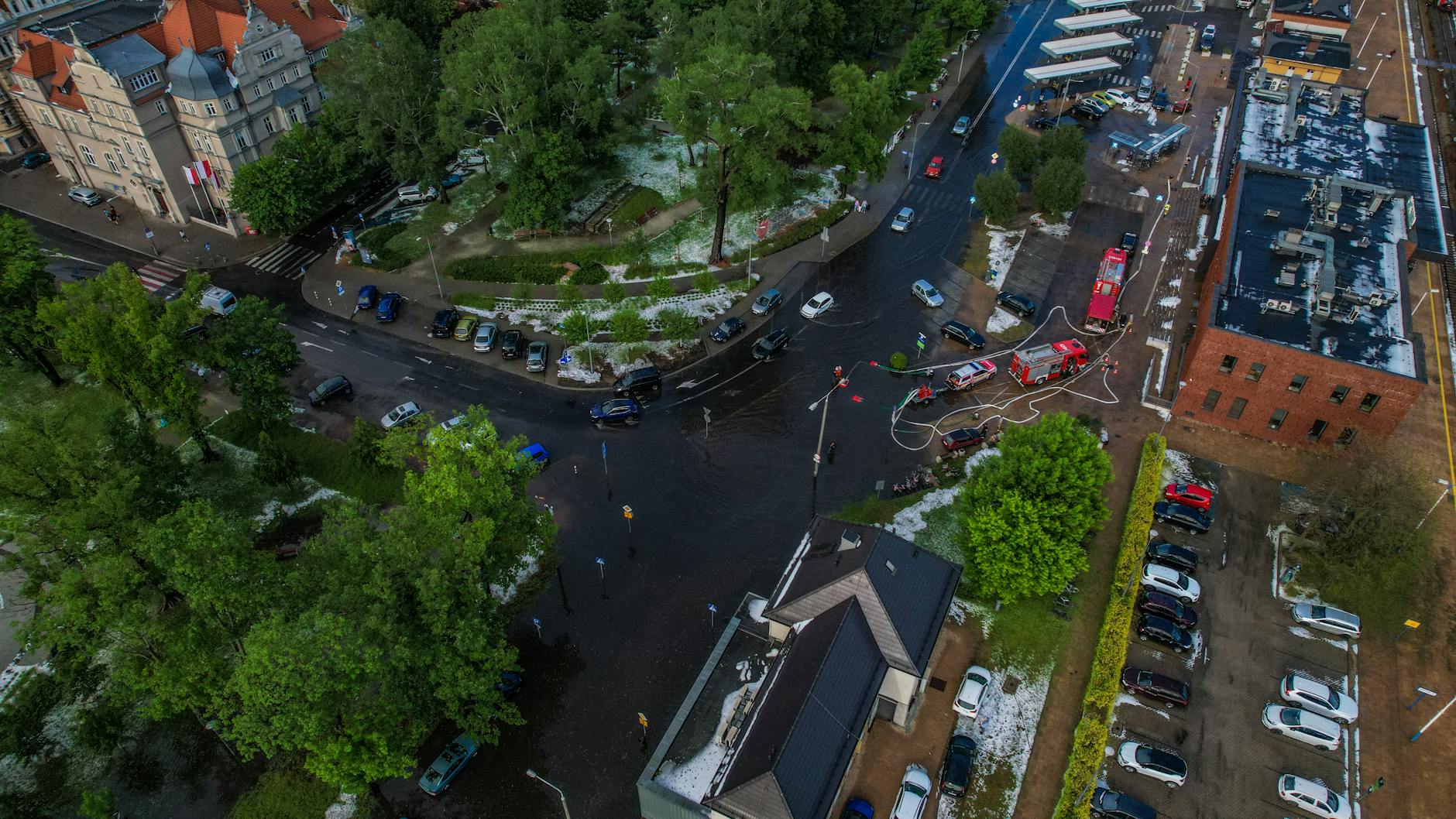 Kalisz: Nagroda za kota, pierwsza komunia i prasówka tygodnia